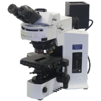 Optical_microscopy