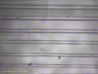 GriesserGroup_Stretchable_Optics_and_Electronics_02